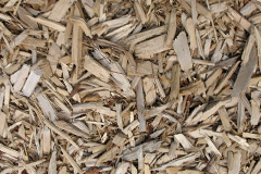 biomass boilers Coleorton